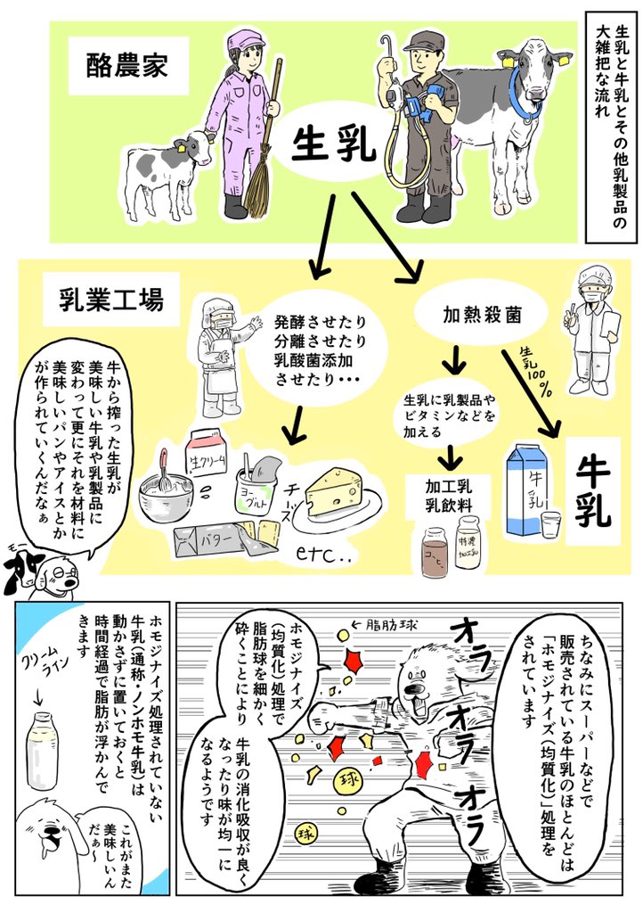 ?「生乳」と「牛乳」?

「生乳」と「牛乳」の違いをとても大雑把に描いてみました。(参考:乳等省令)

「牛から搾った乳」だから全部「牛乳」で良さそうだけど、販売する商品になると色々と決まりがあるようです?

(自分は酪農の仕事に就くまで違いを知らなかった…) 