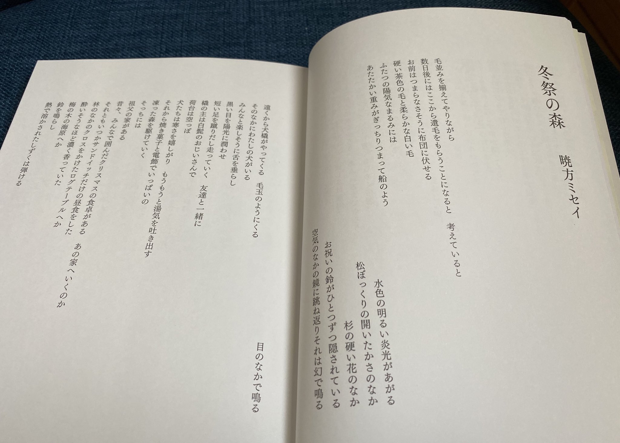 Twitter 上的 大島憲治 暁方ミセイさんの詩 冬祭の森 現代詩 手帖2月号 には物語を秘めた絵本をめくる重層的な味わいがある 悲しみを一切表出せずに詩に満ちている喪失感と慈しみ 時間を一方向には進ませないという意志が愛おしい世界を確かに生み出している