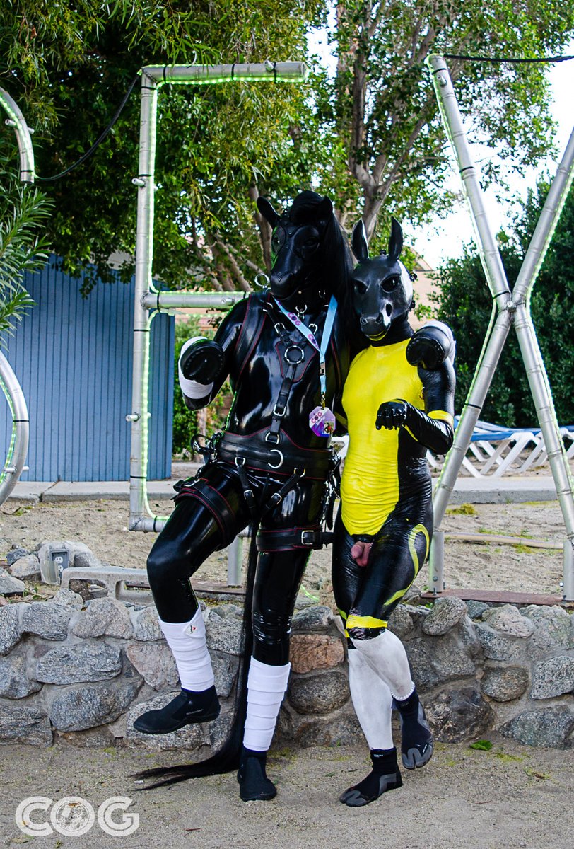 FemmyWaff (Saigon) ❤️🐺 🔜 LVFC tweet media