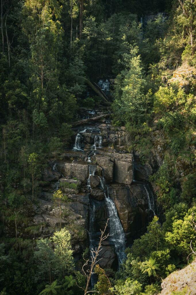 Nature_Travel_'s tweet image. Mason Falls in VIC, Australia [OC] [4625 x 6945] - ThomasThuhTrain - EarthPorn - check alltravelfacts.com &amp;lt;- Only for TraveLovers