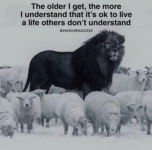 AmbitionCircle's tweet photo. Don’t let others dictate how you live your life 👊 via @24hoursuccess https://t.co/FzPKnipuh3 https://t.co/gcYX49sqZm