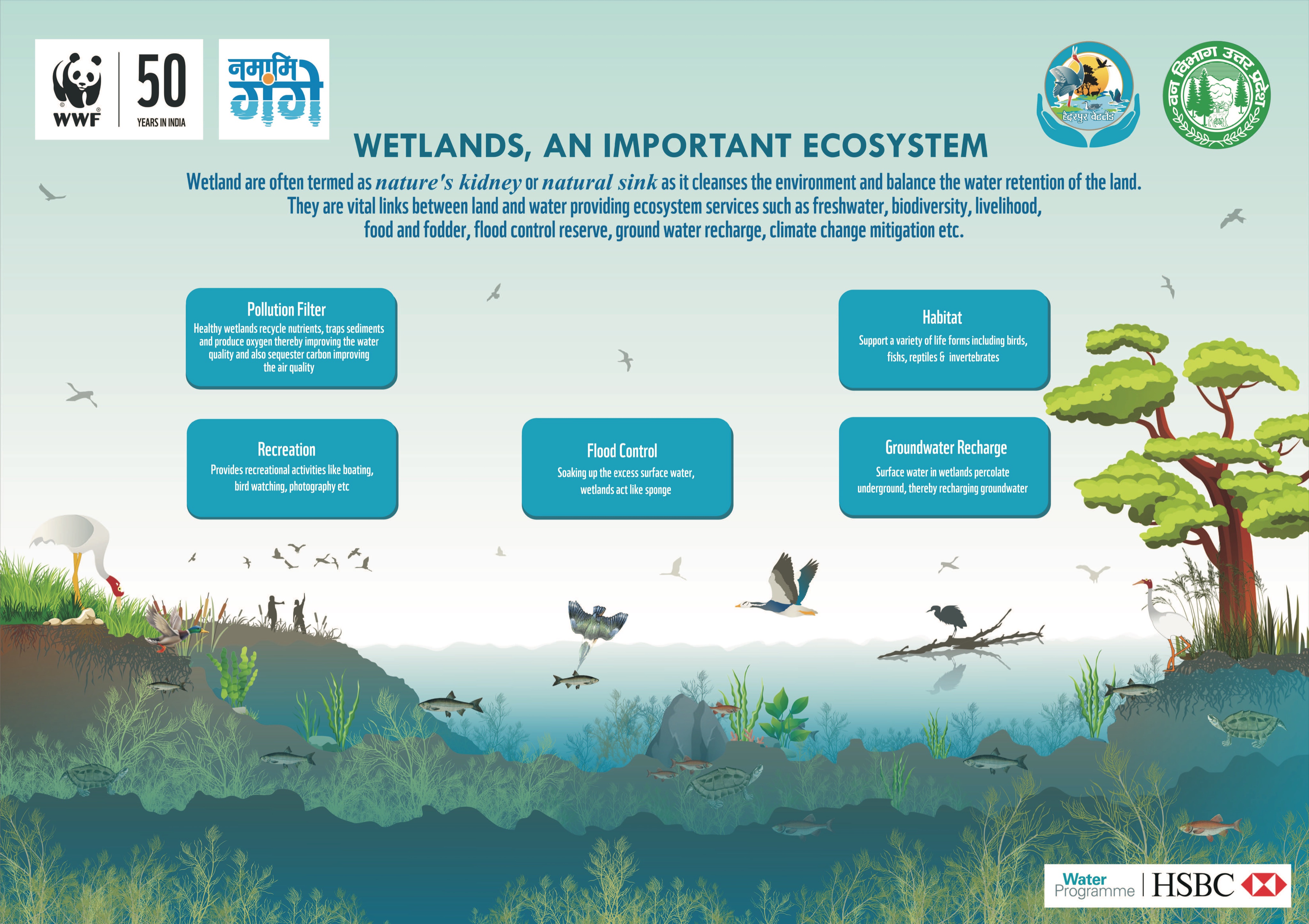 WWF India on Twitter "Healthy wetlands are important they act as