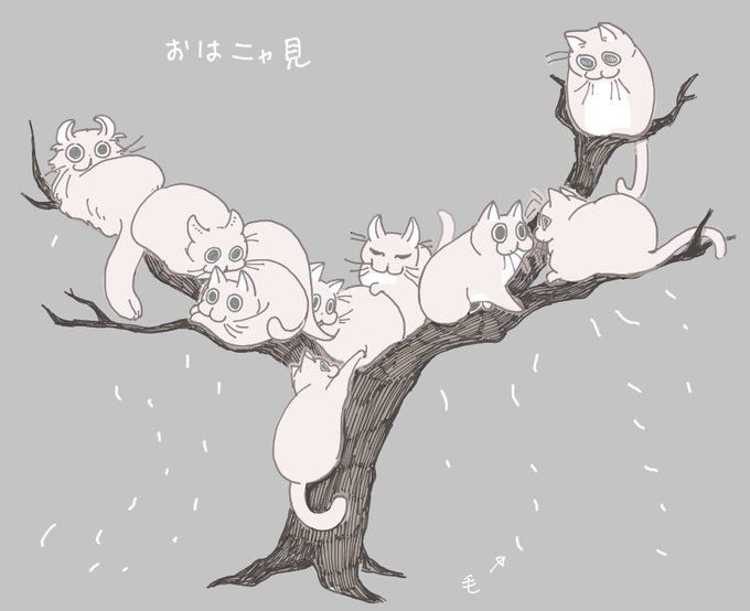 「寝そべり 白い猫」のTwitter画像/イラスト(新着)｜6ページ目