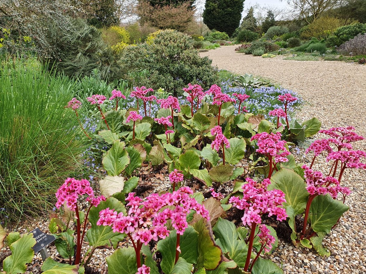 Good morning. We have made the decision that in light of recent gardens closures by the National Trust and the RHS we will also be closing our gardens from today. 

Wishing you the best of health, 

Julia, Beth’s granddaughter 💚