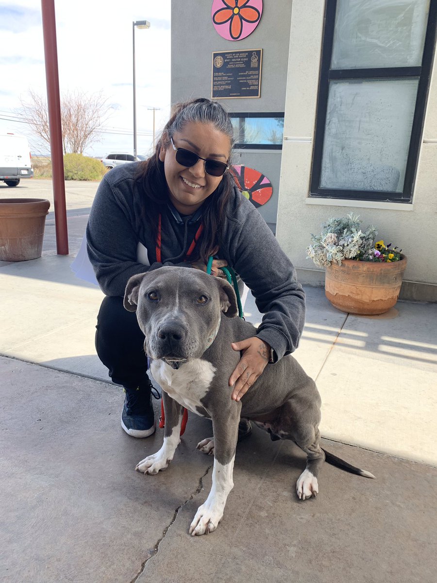 Did you know our 7 animal care centers are still open for adoptions by appointment? You can call our communications center to make an appointment to meet and adopt one of our loving pets at your local animal care center. So happy Kelly from our Lancaster ACC found a loving home!