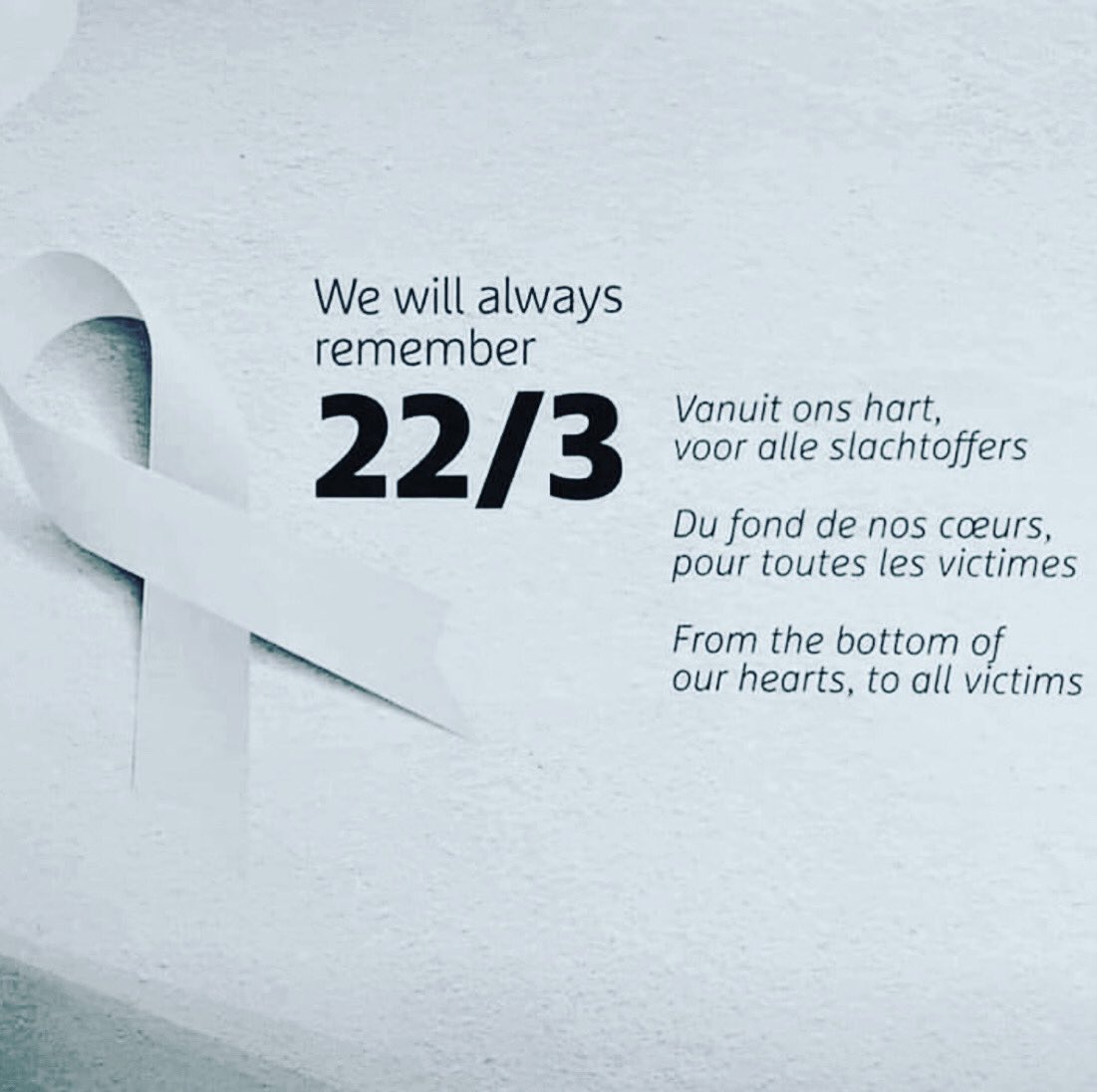 LibellenK's tweet image. 