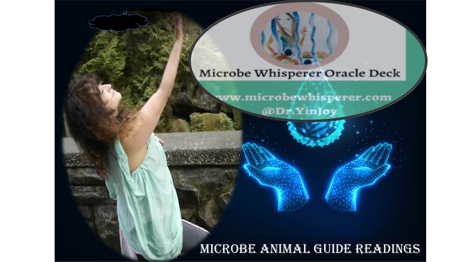 #flattenthecurve by #handwashing, and thank #motherearth for #ourwater with this #waterblessing by #microbewhisperer, microbewhisperer.com/2018/03/22/wor…