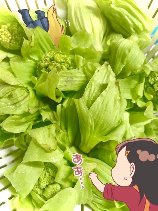 「髪飾り 野菜」のTwitter画像/イラスト(新着)｜14ページ目