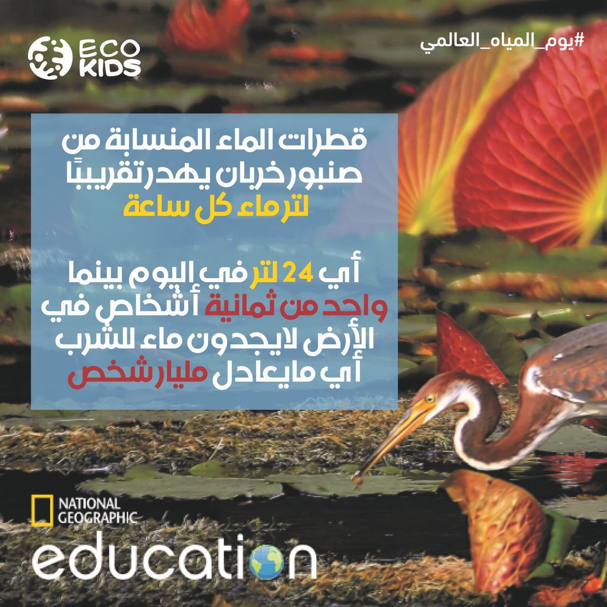 ecokidsksa's tweet photo. قال تعالى " وَجَعَلْنَا مِنَ الْمَاءِ كُلَّ شَيءٍ حَيٍّ أَفَلاَ يُؤْمِنُونَ " (الأنبياء:30)
فلنحافظ على ثروة المياه :
- بإستخدام عبوة الري بدل من خرطوم المياه 🚿
-إغلاق الصنبور عند غسل الأسنان 🚰
-تقليل وقت الإستحمام 🛁
- التأكد من صلاحية الصنبور وإغلاقة بإحكام 👍🏻 https://t.co/c6jXVEsO6f