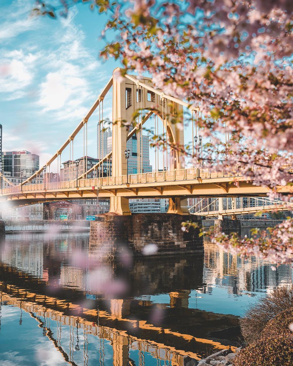 iansjones_'s tweet photo. They say spring in is the air. 🌸

https://t.co/TFcB5xerfK

#Pittsburgh #PittsburghPA #BurghSnap #412 #QuaratineLife #QuarantineActivities #LovePGH #DowntownPittsburgh #DowntownPGH https://t.co/yy0wHWKYAz