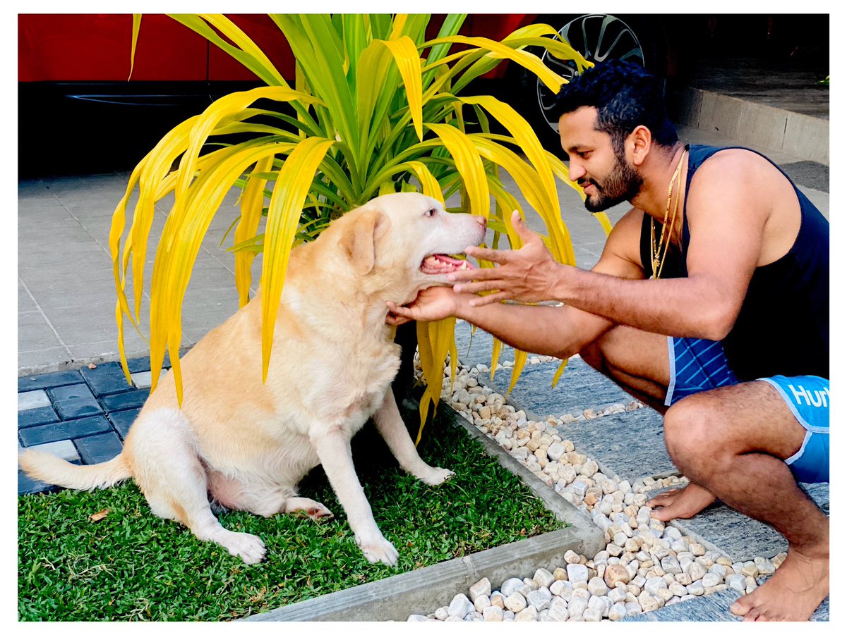 IamDimuth's tweet photo. The happiest person in our home these days....🐕🐕🐕 #nocricket #playingwithpets #homedays #QuaratineLife https://t.co/Op7GeP267c