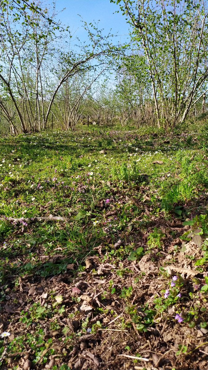 Herkes #EvindeKalTurkiyem 
Babam; bos bos otuman evde galkin bahcaya