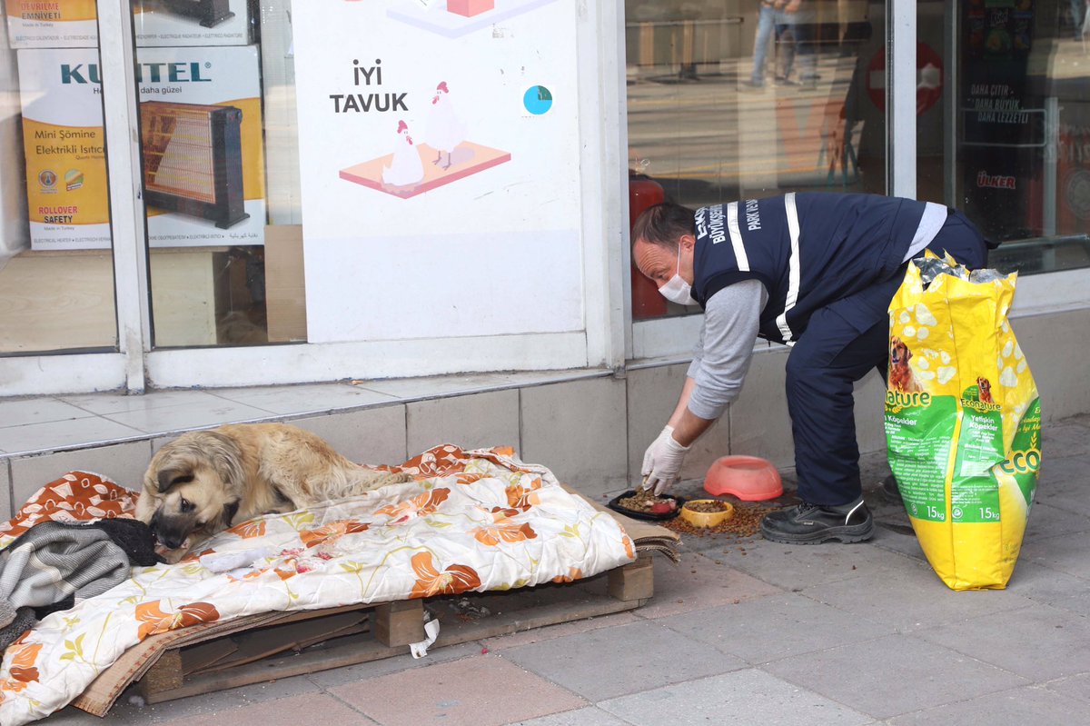 Siz evde kalın, sokaktaki canlar bize emanet! 💙

Sokak hayvanlarının gıda ihtiyaçlarını büyük ölçüde karşılayan duyarlı kafe ve restoranlarımızın salgın hastalık riskine karşı kapanması nedeniyle mama desteğimizi arttırdık. 🐶🐱

#EvdeKalEskişehir