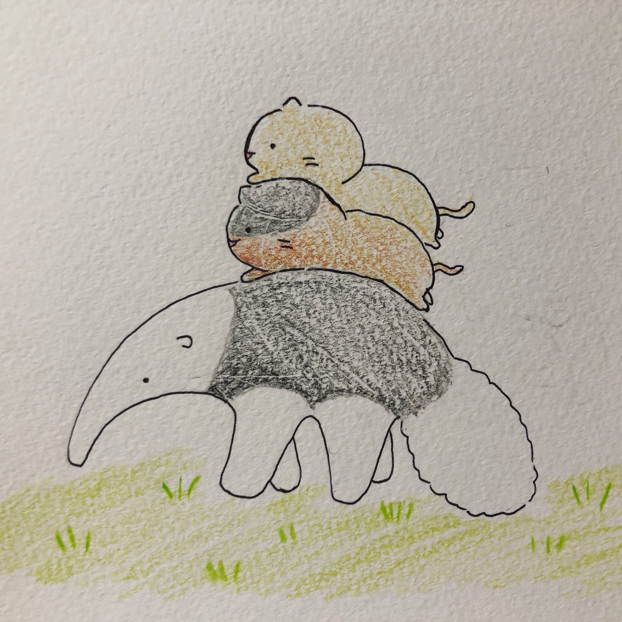 まめこ على تويتر アリクイが可愛いく描けたので 笑 イラスト 落書き ゆるいイラスト 動物イラスト 猫イラスト イラスト好きな人と繋がりたい まめこ على تويتر アリクイが可愛いく描けたので 笑 イラスト 落書き ゆるいイラスト 動物イラスト 猫イラスト イラスト好きな人と繋がりたい