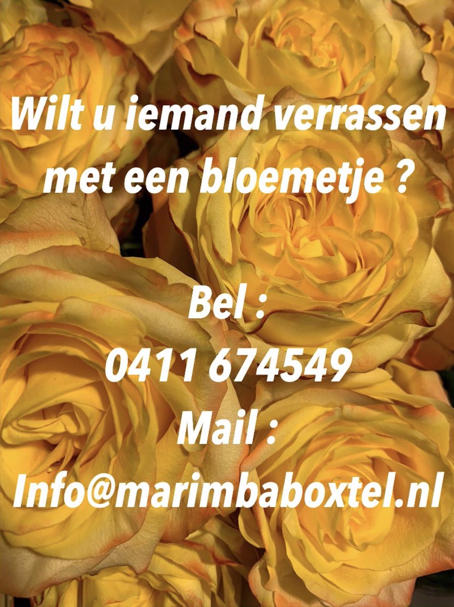 Marimba Boxtel (@marimbaboxtel) on Twitter photo 