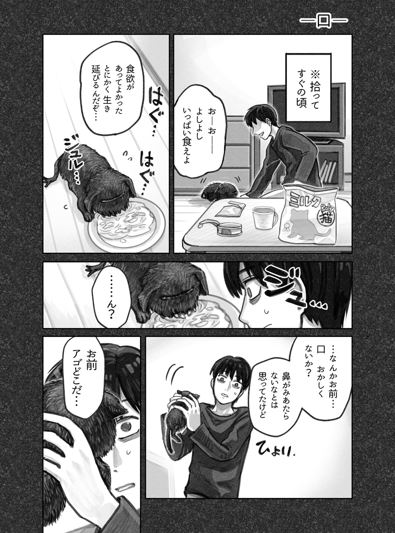 猫を拾った話。1話(6/8) 