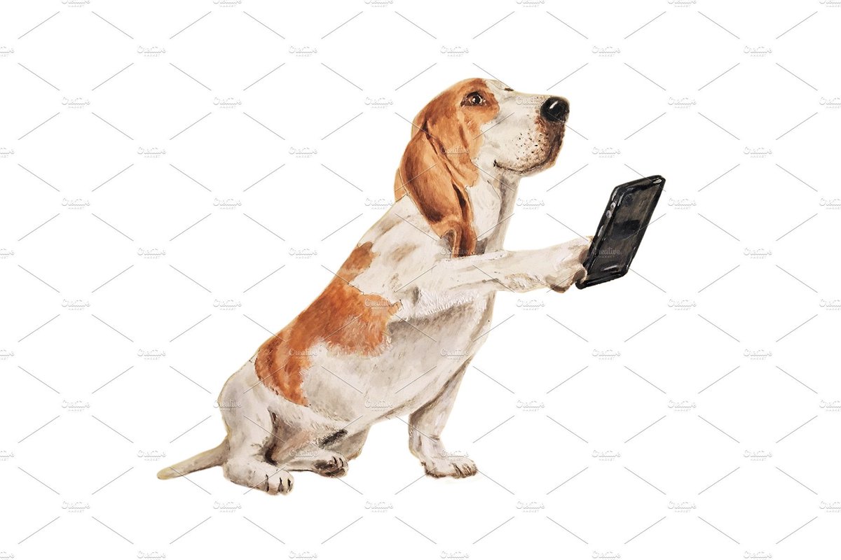 team_greenacres's tweet photo. #PleaseRT #SundayMotivation Who doesn't love a #bargain #grababargain for your #pet with our #Animal Antics #auction on FB. Click on photos to bid. Ends 6pm 28.3.20 💚
https://t.co/m12W3Gcydv
#TeamZay #charitytuesday #charity #fundraising #pembrokeshire #Wales #poweredbyburns https://t.co/vnKRSaAnus
