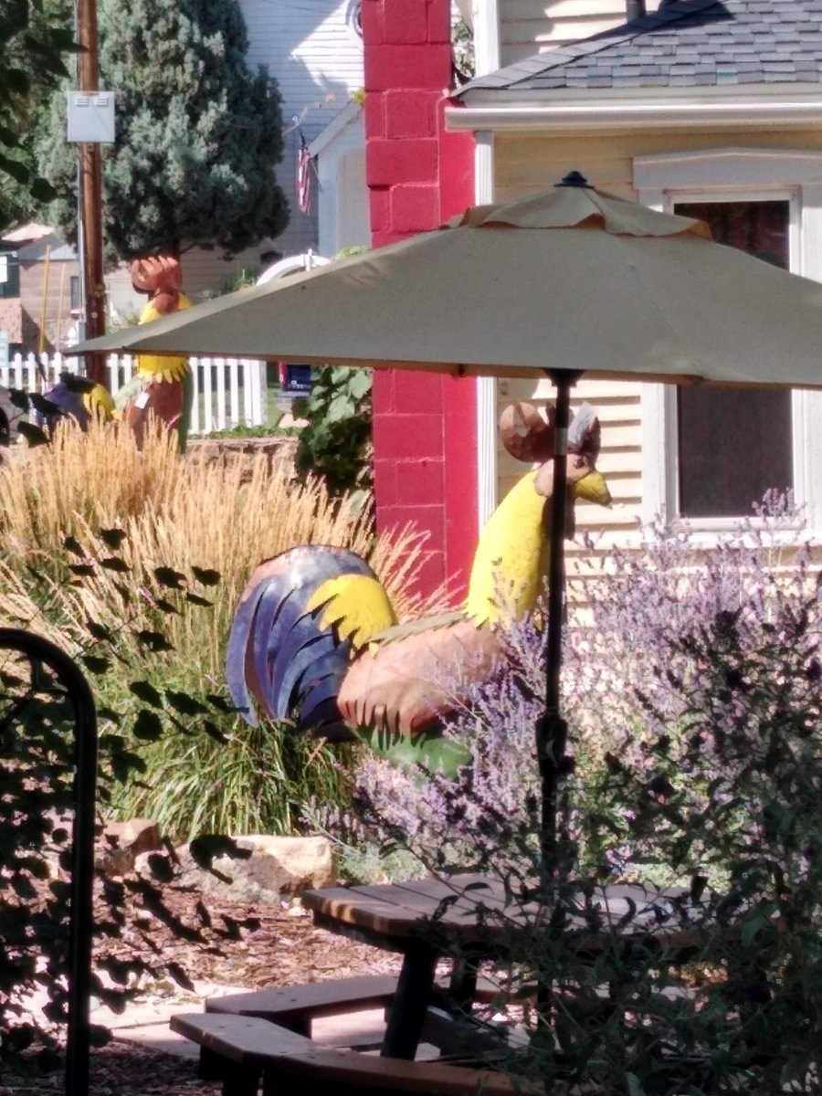 SunshineForOne's tweet image. Morrison Colorado has a place with Antique Cock's... Lol 🤣 #TrueStory