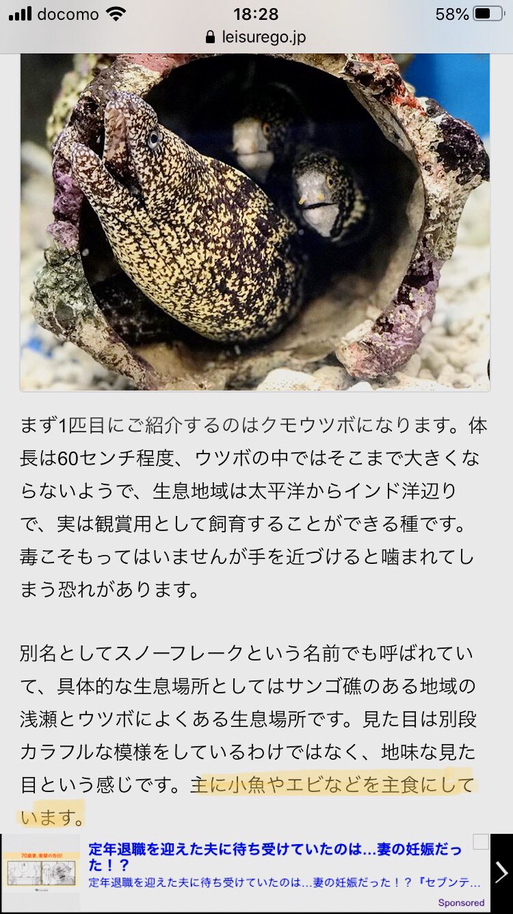 くまくま Twitter પર フロイドはウツボがモチーフという事で気になって調べて見たんだけど ウツボの主食は小魚やエビらしい 主人公のこと 小エビちゃんって呼んでるし 三章で主人公がフロイドに食べられる 契約させられる っていうのもあるのでは ツイステ