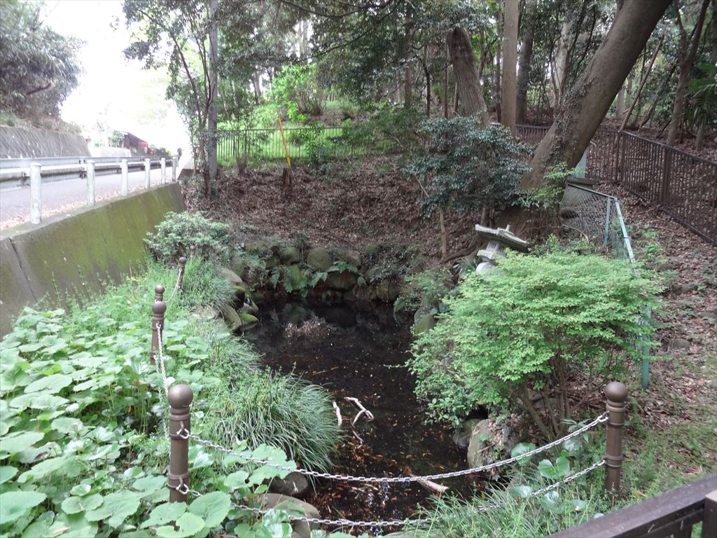 相模の社を呟く 最後に 南足柄市の清左衛門地獄池 地獄池というには透明ですごく綺麗なところでした 相模の社を呟く 最後に 南足柄市の清左衛門地獄池 地獄池というには透明ですごく綺麗なところでした