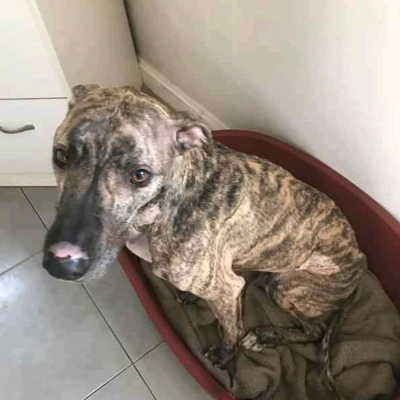 🐾Frazer_FFH🐾 tweet media