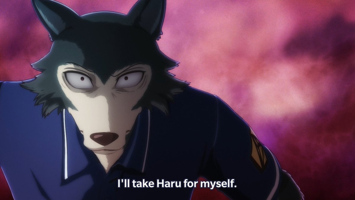 Beastars хару. выдающиеся звери легоси. легаси beastar. легаси выдающиеся звери. Beastars аниме.