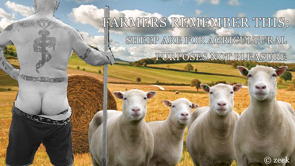 FoolsFunnybone's tweet photo. ...so keep your f**king pants on

#thefoolsfunnybone #sheep #sheepshagging #farmer #agriculture #humour #tabloid #funny https://t.co/eOW6xxL0sT