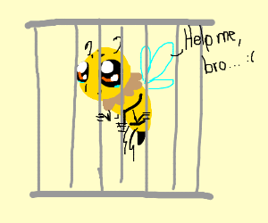 EmJ_75's tweet photo. Read about what happens when you socially isolate bees 🐝
#UoNTeach #pollinators  #educacion
 #savethebees #socialisolation  https://t.co/wxqrSU2DFL https://t.co/pZBBZN1XCz