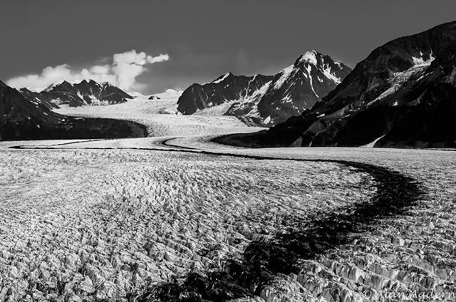PhotoArtByAlan's tweet photo. Alaska in Black and White.  Taken in 2009 Processed in #lightroom #topaznenoiseai #photoshop https://t.co/EAphv60AWw https://t.co/8fq5yBqEAy