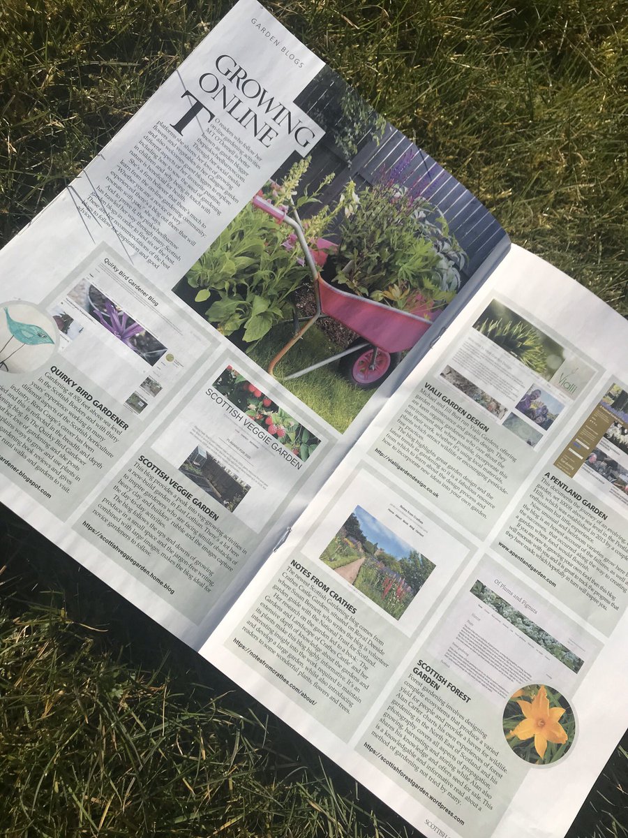 In today’s @heraldscotland, my article on the best of Scottish Gardening Bloggers!
#heraldonsunday #scottishbloggers #gardenbloggers #gardeningbloggers #bloggers #gardeneditorial #gardenblogger #gardeningblogger #gardeningblogs #gardenblogs #scotland #freelancewriter