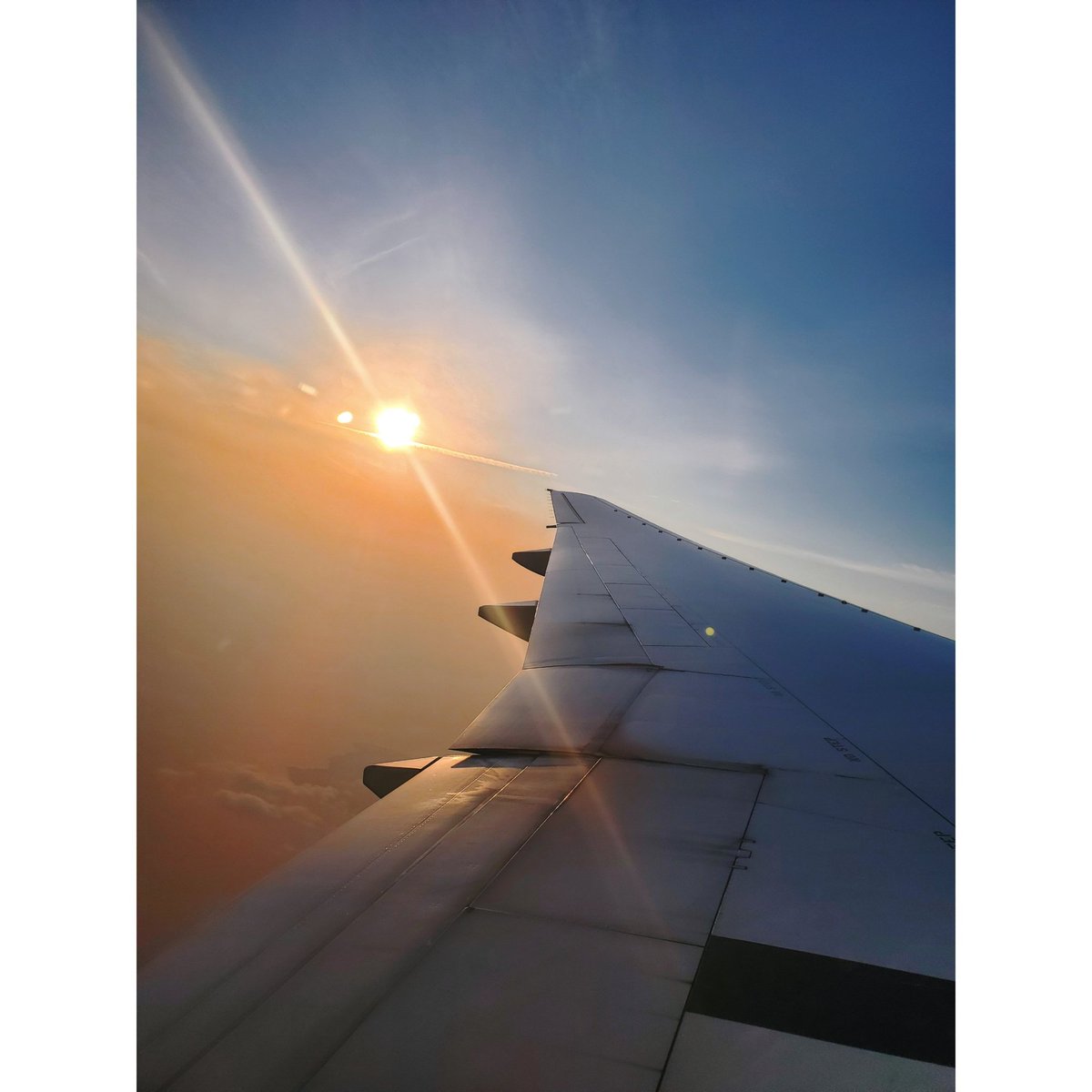 99________y's tweet photo. 沖縄旅行ギャラリー https://t.co/NfJw4oPimU