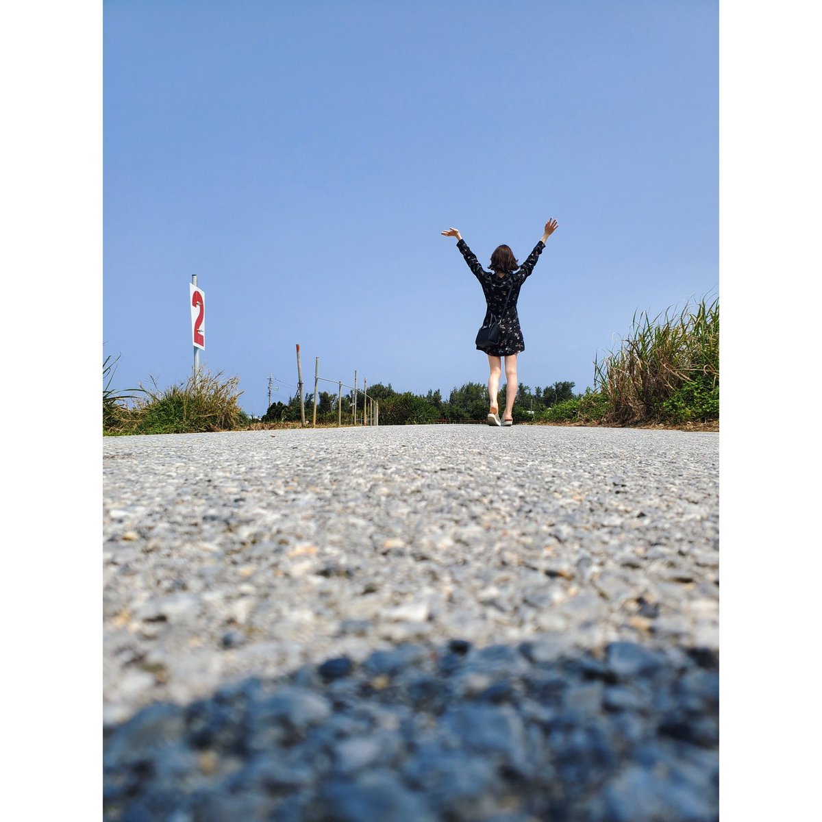 99________y's tweet photo. 沖縄旅行ギャラリー https://t.co/5LeaR1ymRf