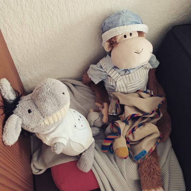 CDIdaudet06's tweet photo. Je crois qu'Alphonse et Baudet sont fait de nouveaux potes #AlphonseLaMascotte #BaudetLePoteDeLaMascotte #AlphonseEtBaudet https://t.co/oGSUnjnqRB https://t.co/mvx83oM7V5