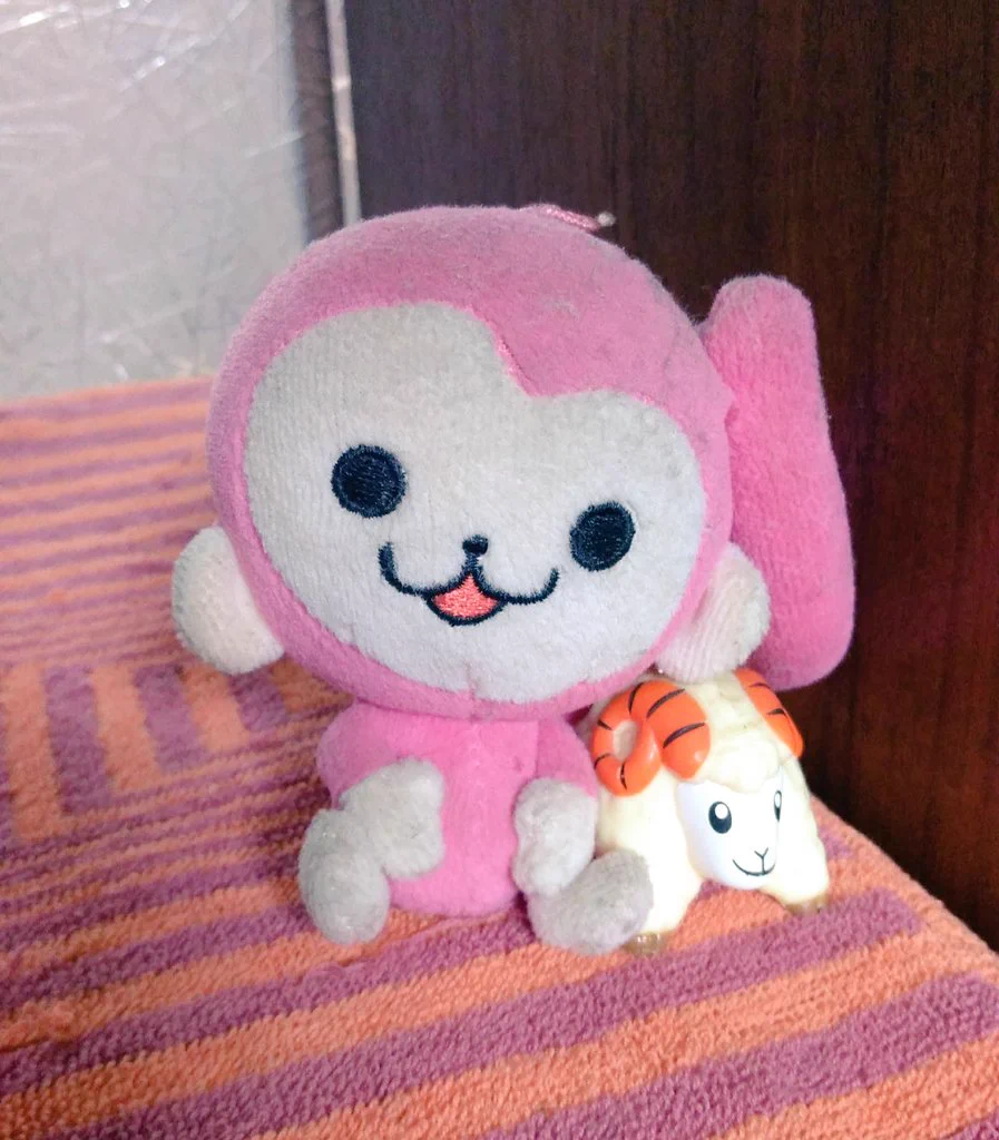 @hani__420 うちに住んでます(* 'ω')ﾉ 