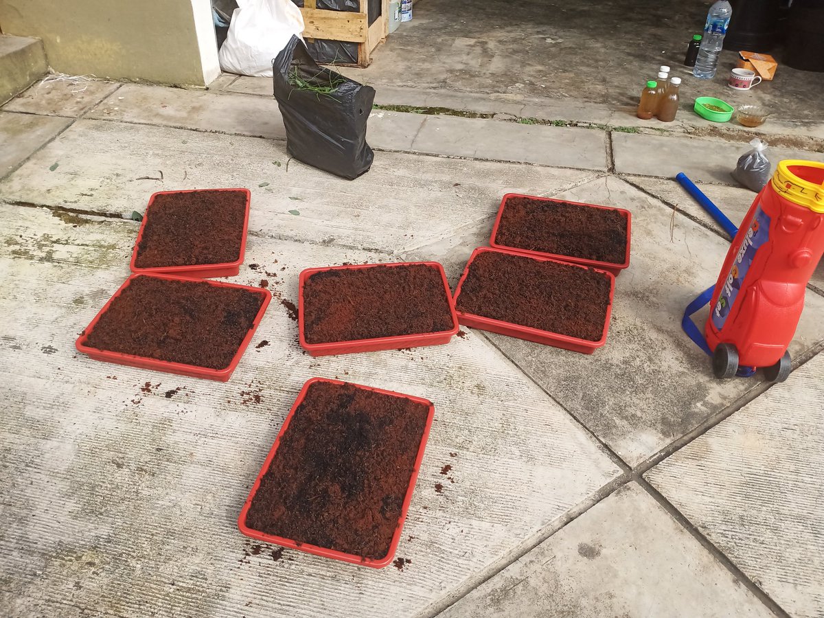 Syawaludin3687's tweet photo. Seharian ngebon dirumah,, kita habiskan waktu bercocok tanam sendiri,, biar punya makanan sehat,,
#berkebun #sayurmayur #efekcorona https://t.co/6gwWed3bDV