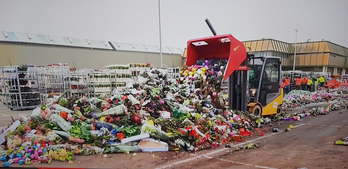 Just seen this on the news, what on earth is going on?! All that energy and water to produce these flowers and plants, all to be destroyed. They should be given out to workers, put on peoples doorsteps or simply planted in the wild! What a waste of resources. #Waste