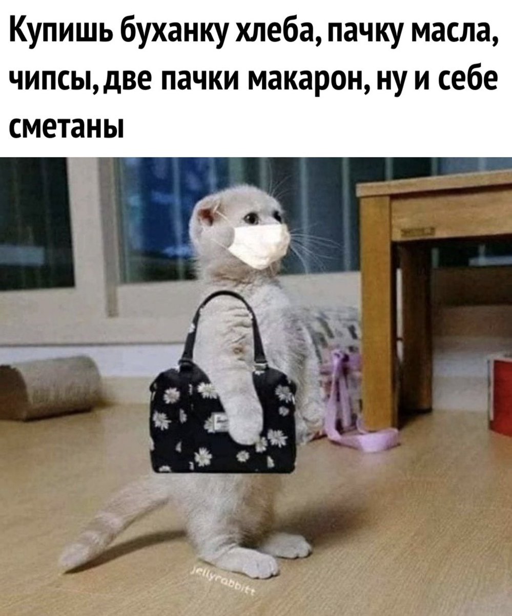 Екатерина Кот (@hpc9ul4fvp92pza) on Twitter photo 
