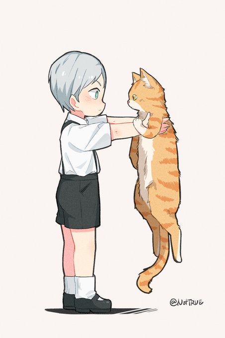 「三毛猫 白いシャツ」のTwitter画像/イラスト(人気順)