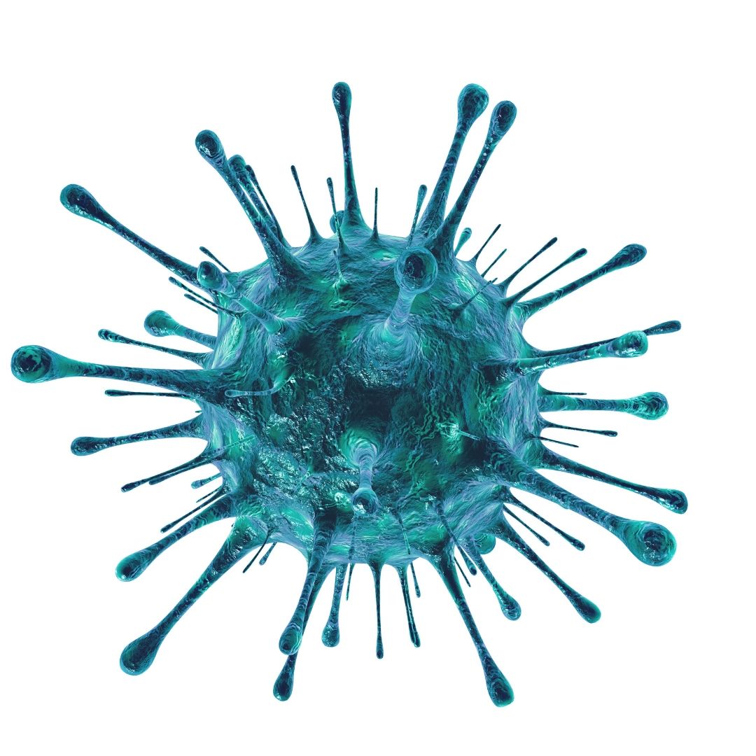 SavoyCollection's tweet image. This page is the best to keep you updaed about Corona in South Africa: 
sacoronavirus.co.za