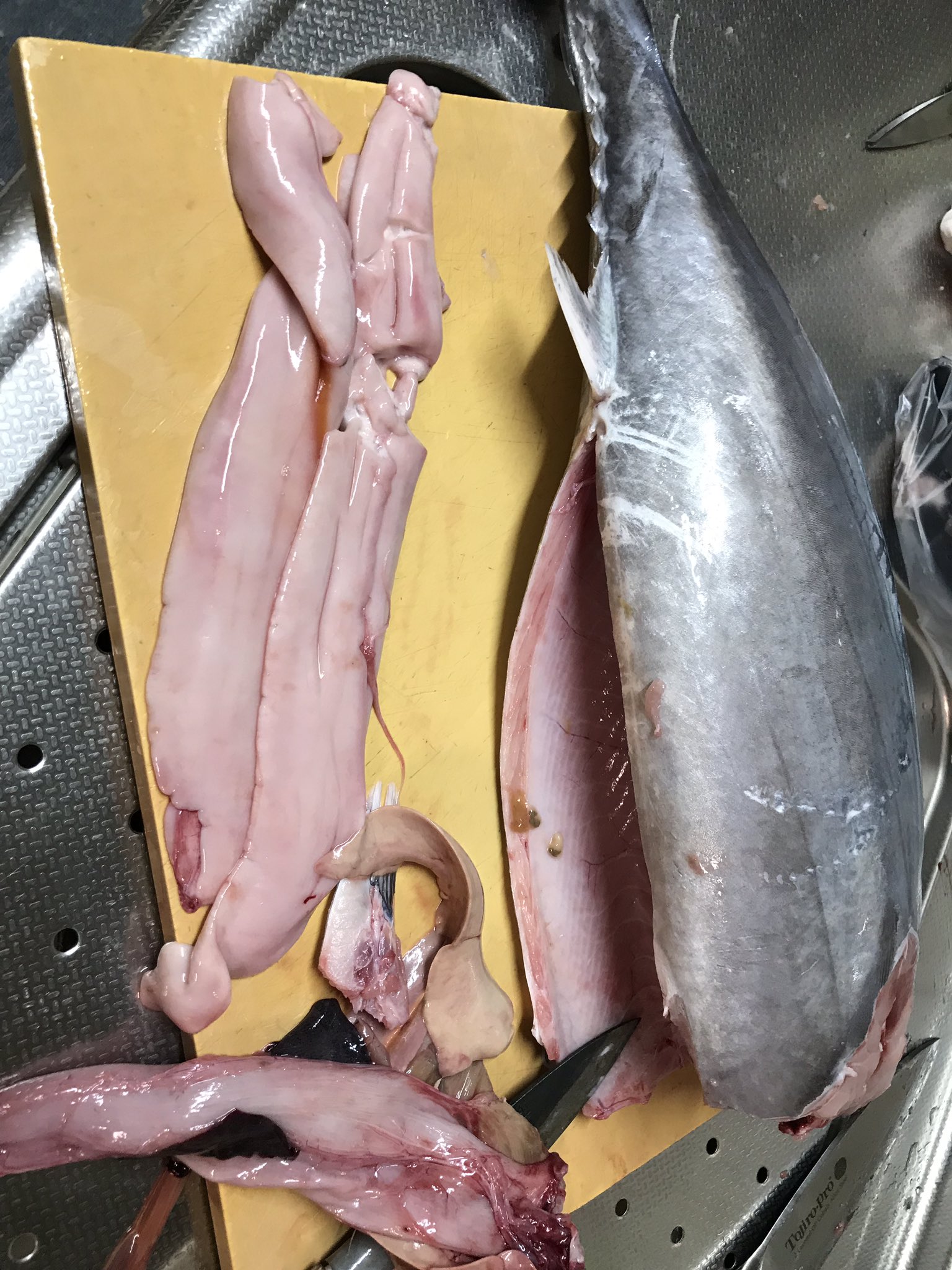 うし ラスト70 のハガツオ 位の魚を二匹食べていた そして白子 足の早い魚だけどこいつは内臓と頭取って2日寝かせます T Co Lebcavfhbv Twitter