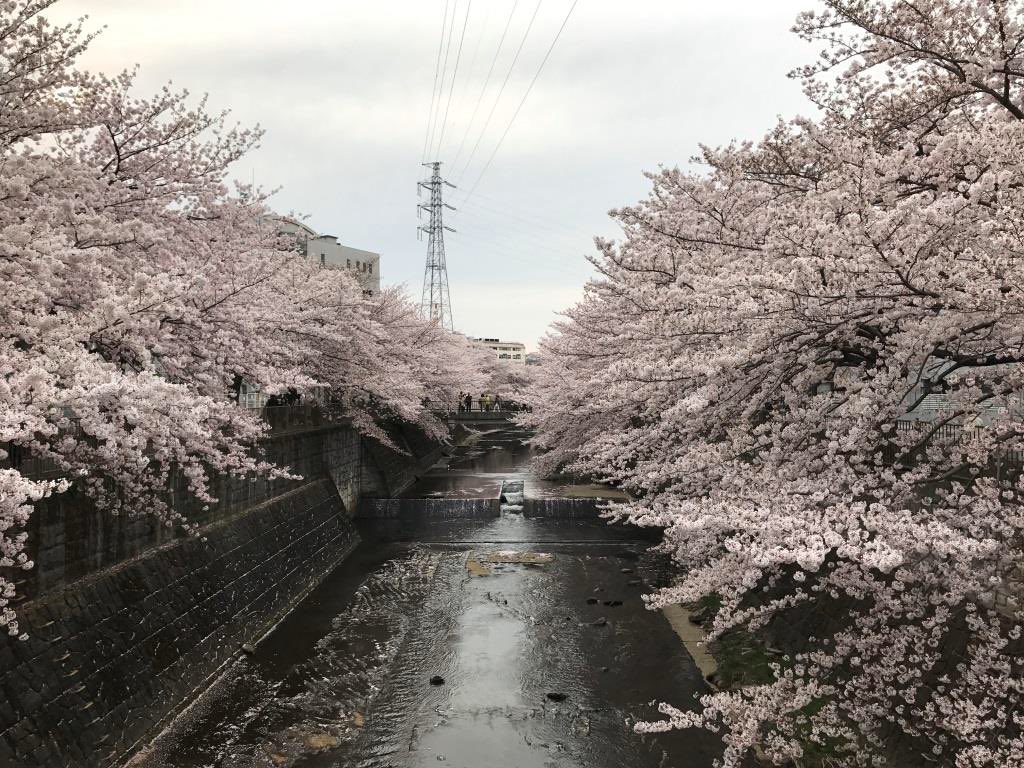 恋 つづ ロケ 地 病院 わたナギのロケ地 撮影場所 はどこ 自宅や病院は 恋つづと同じ