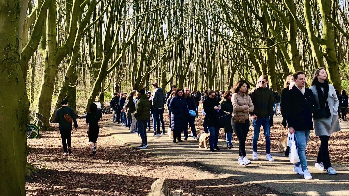 I went through the five stages, denial, anger, bargaining, depression and acceptance. But i’m right back at anger due to the incredible stupid and selfish people i share this country with. GO THE F HOME!