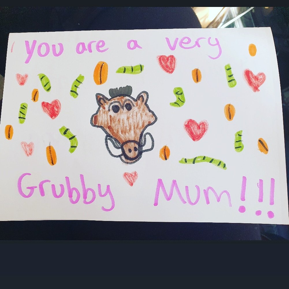 Env_Engineered's tweet image. In case you didn't know...

Happy Mother's Day!

What made you smile today?

#thingsthatmakemesmile
#spreadingsmiles
#cardgoals #miltonkeynes