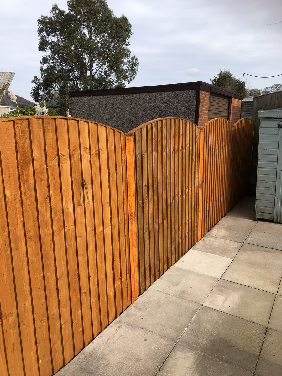 Golden Soney Ltd tweet media