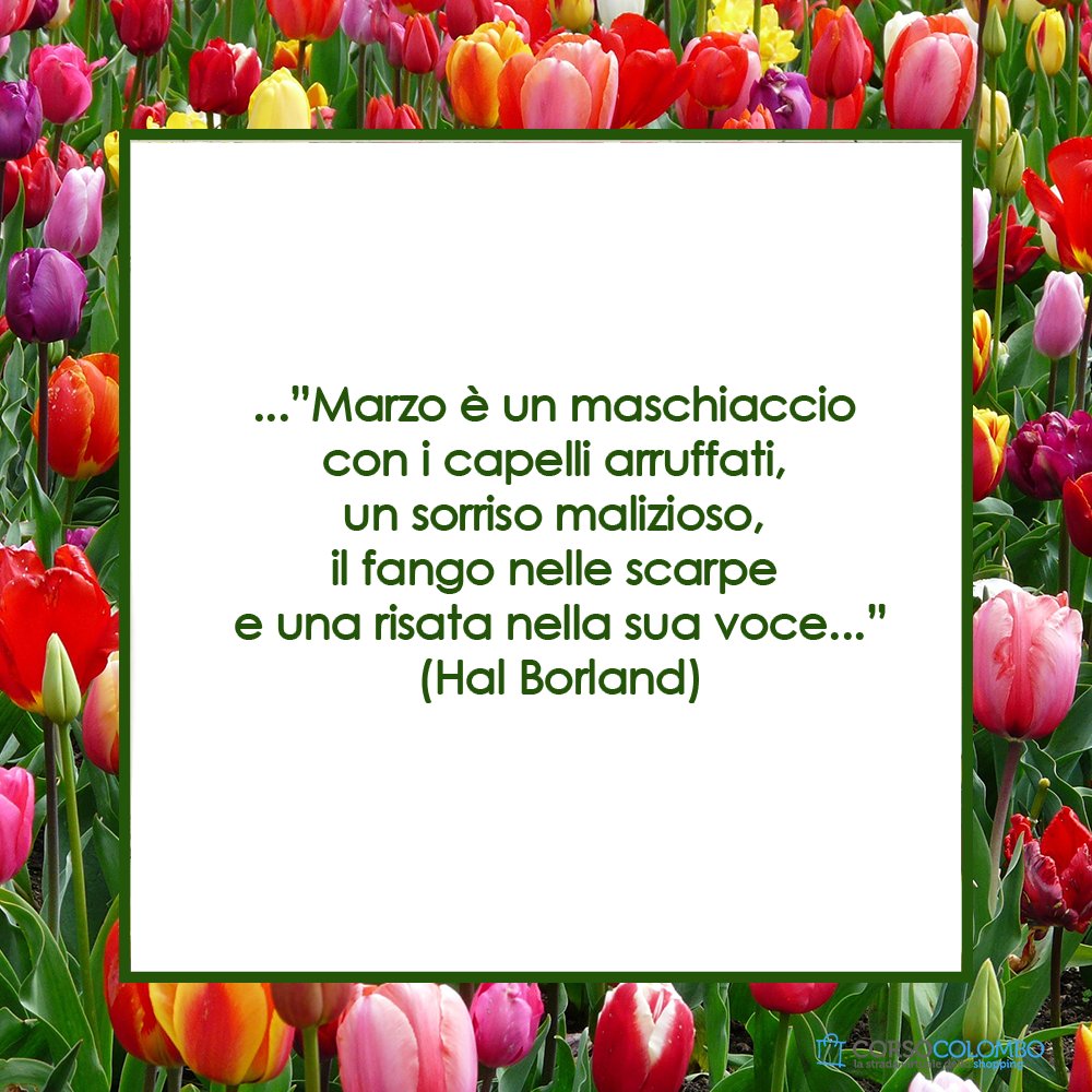 CorsoColombo's tweet photo. Marzo è un maschiaccio con i capelli arruffati, un sorriso malizioso, il fango nelle scarpe e una risata nella sua voce.
(Hal Borland)
.
.
.
#marzo #maschiaccio #sorriso #sorrisomalizioso #risata https://t.co/QkJn3EliXK