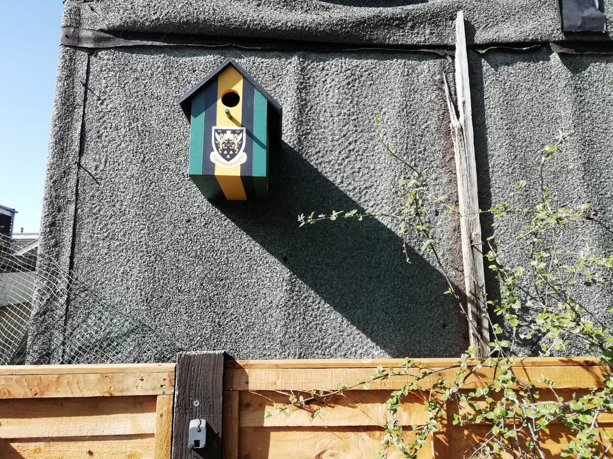 Summerlin78Cath's tweet photo. @SaintsRugby My mum loves her new Saints bird box https://t.co/34g5gpaBu1