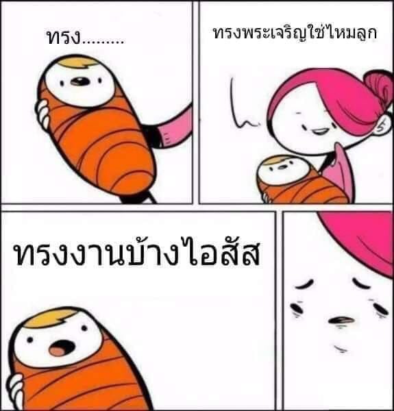 กูขอด่า tweet media
