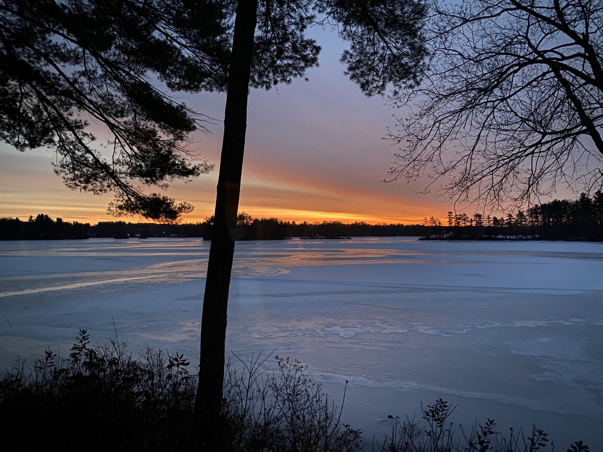 Photo challenge, day 1 of 7

No explanations, no people. 
Challenge a new person everyday. 

I was nominated by 
<a href="/cafuego/">@cafuego@misanthrope.social</a> 
 and today I nominate 
@beejeebus