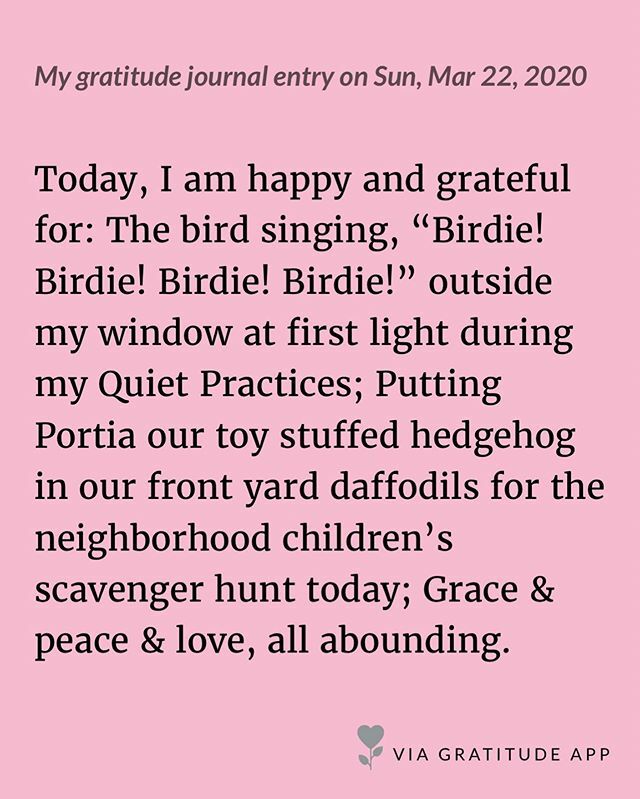 sparkplugcoach's tweet photo. #grateful #simplepleasures #gratitude #gratitudejournal #gratitudeapp #grace #peace #love #mindfulness #quietspace #quietpractice #prayer #meditation #simplepleasures #lovewins #portiathehedgehog #scavengerhunt #neighborhood #ardenonthesevern #singingbir… https://t.co/K3Ef35oisO https://t.co/vgbZfLRhDP