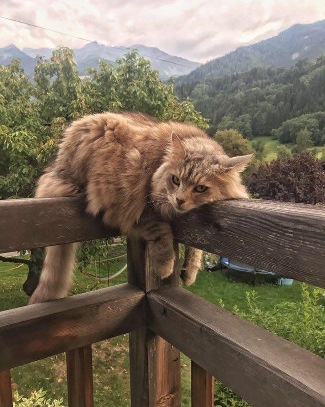 Your soul is a river (@whitewallsme) on Twitter photo 